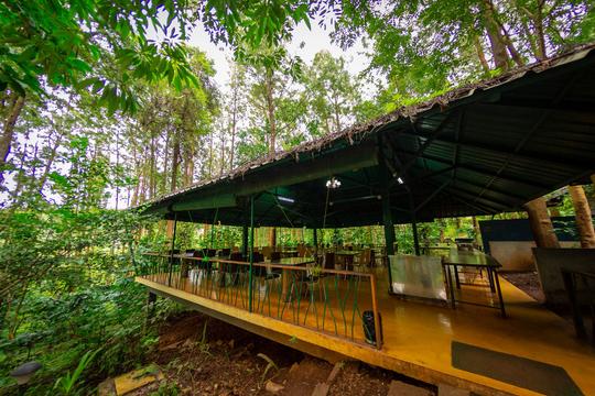 Gorukana Eco Wellness Retreat Image