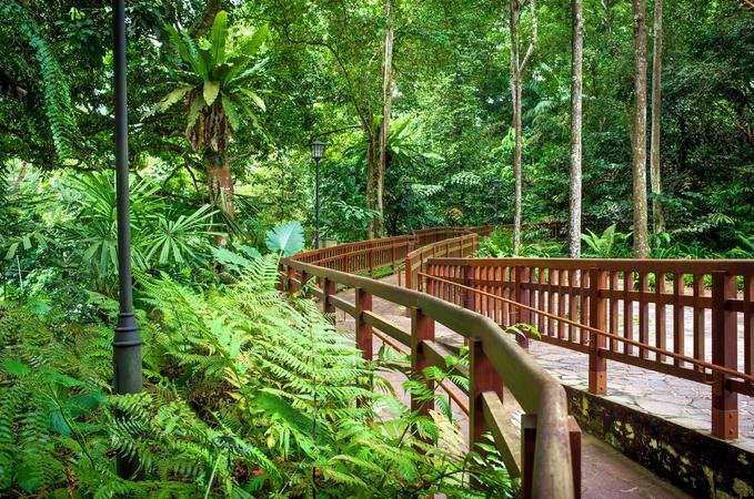 Bukit Timah Nature Reserve