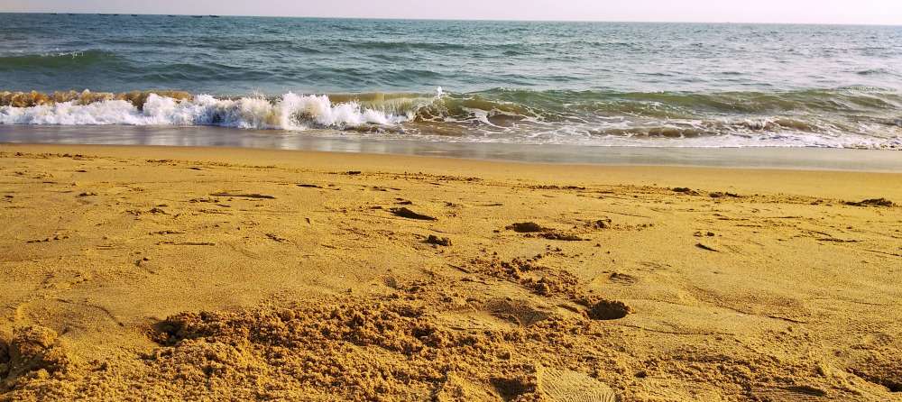 Jagannath Puri Tour Image