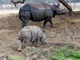 Cfud4akjpuhzlrzqngnq44gc87no 1629094489 shutterstock 1078874774