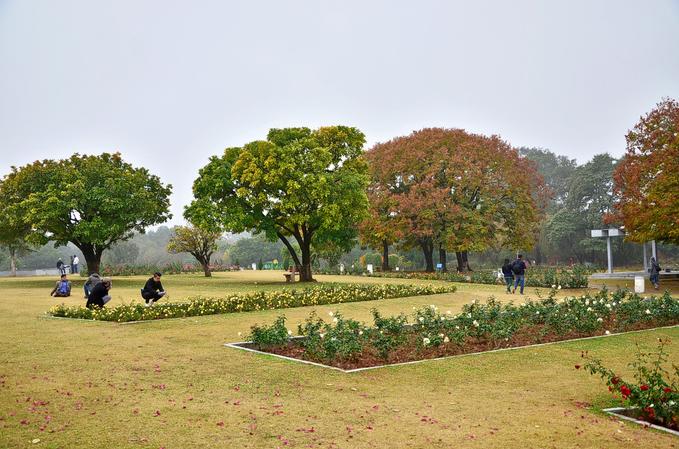 Zakir Hussain Rose Garden