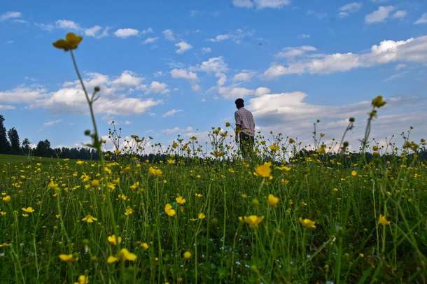 Cibt4obnki87vobyissz6gsvp936 downpic.cc image262146097