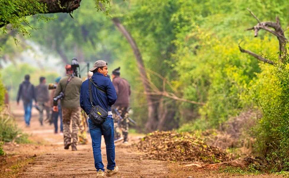 Safari Booking At Panna National Park  Image