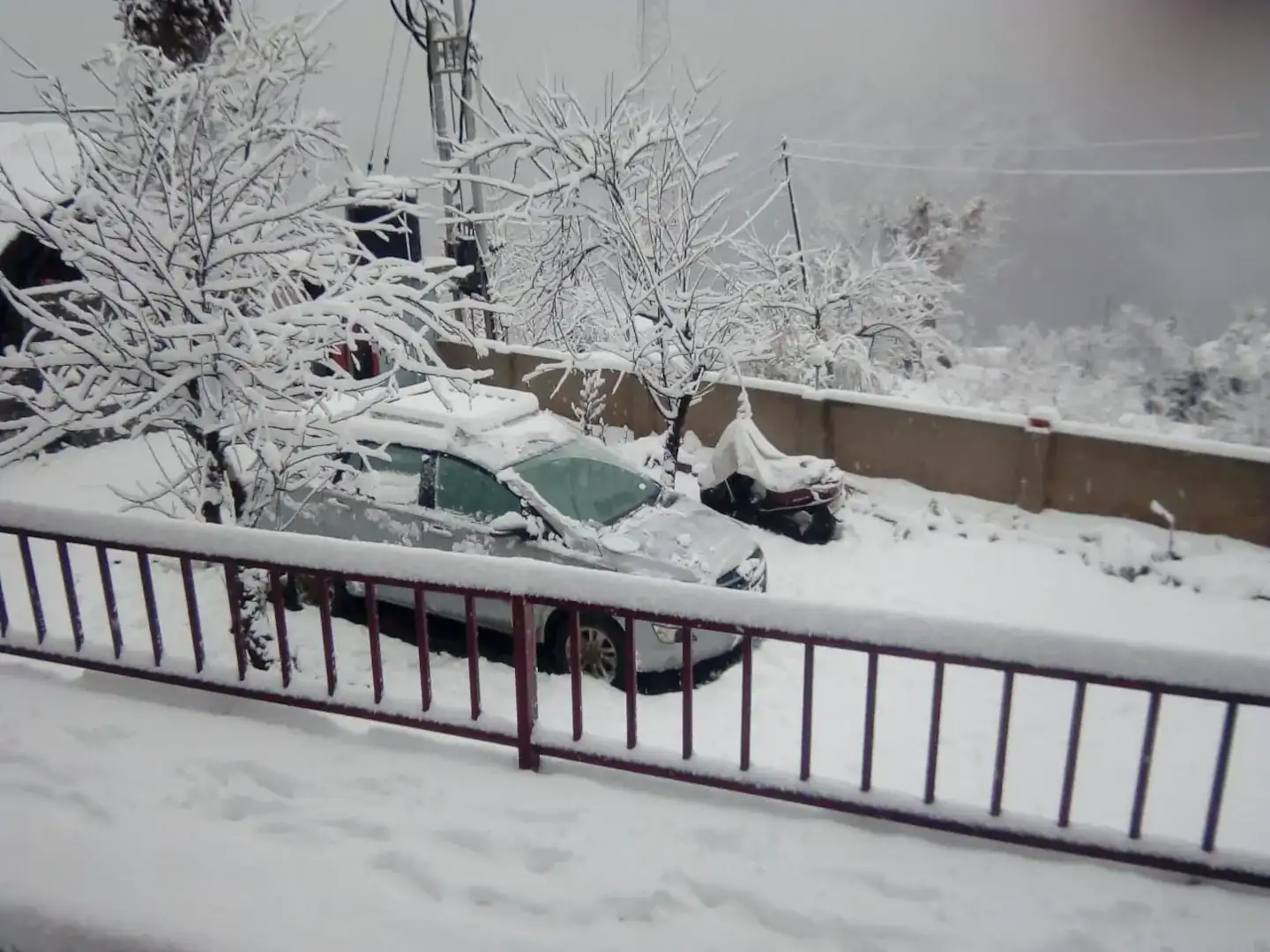 Nandan Kanan Resort Auli  Image