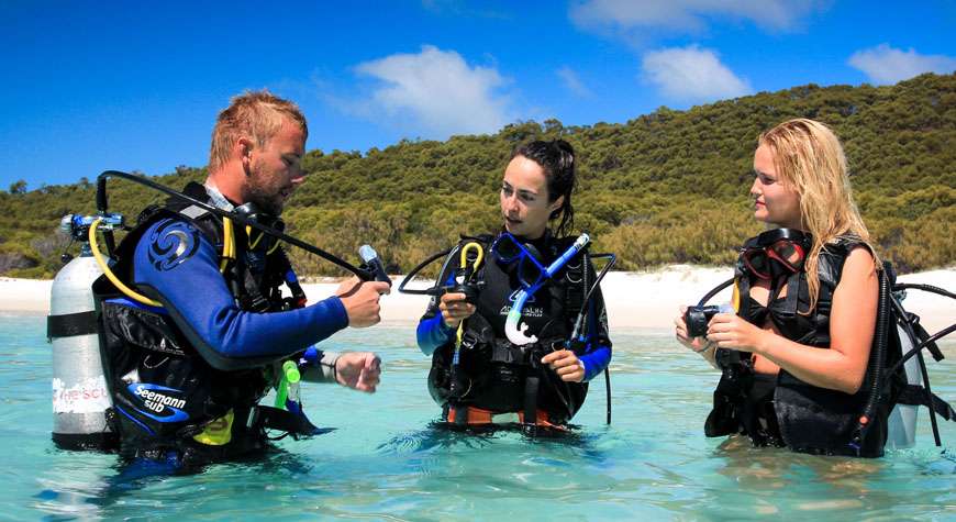 Scuba Diving Koh Tao Image