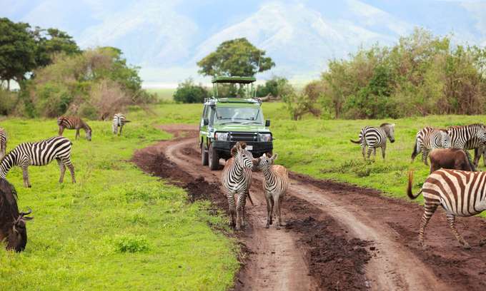 Kenya Tanzania Tour Package from India