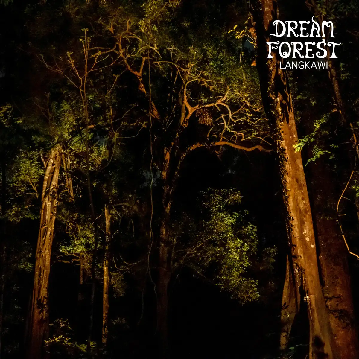Dream Forest Langkawi Tickets  Image