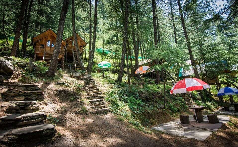 An Adventurous Tree House Near Shimla Image