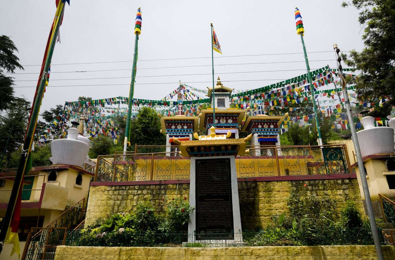 Explore the serene surroundings of Namgyal Monastery and its spiritual aura