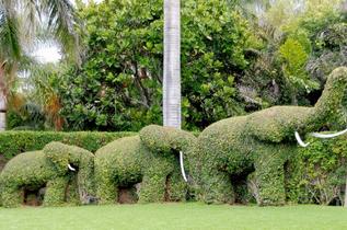 Cqa1eah3e9jl63991xxbs8osva5w 3 elephants topiary