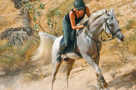 Horse Riding in Dubai Image