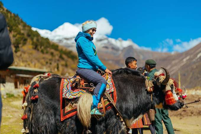 Traverse the picturesque trails of Manali on a yak ride