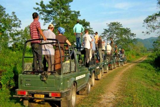 Go Wild At Kaziranga With Nature Hunt Eco Camp Image