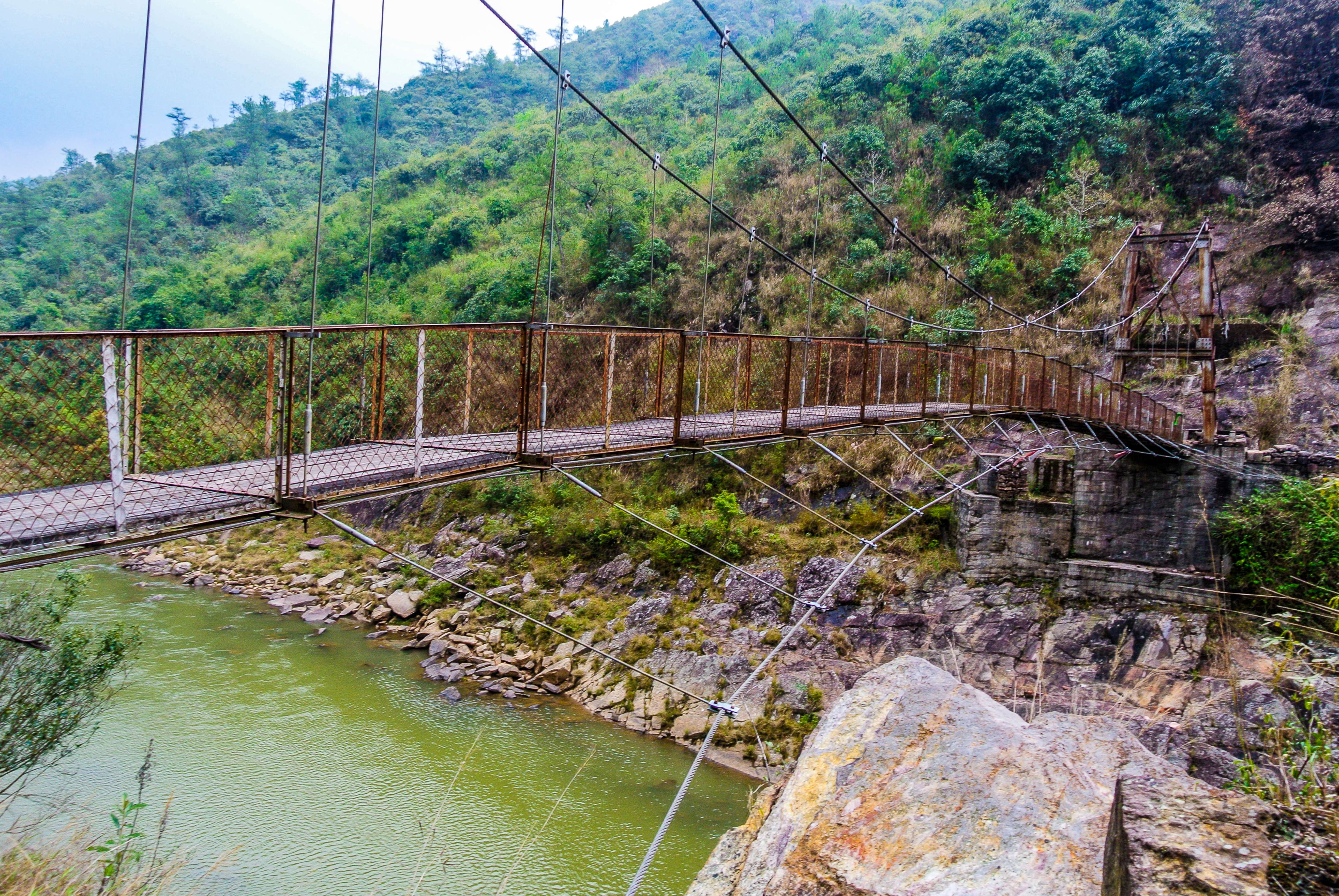 Mawphlang Sacred Grove Tour