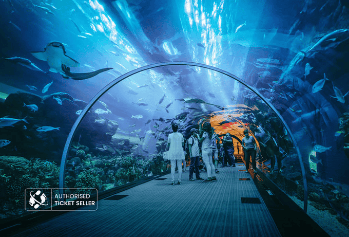 Welcome to Dubai Aquarium & Underwater Zoo