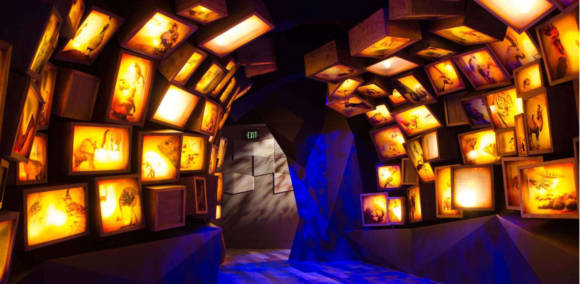 Museum of the Bible Tickets Image