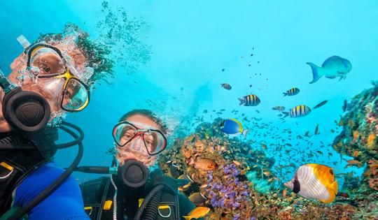 Scuba Diving In Dubai Image