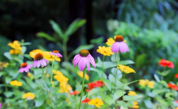 Cujuomymyydihzfhdj4yk5m4gjo6 1597347266 333