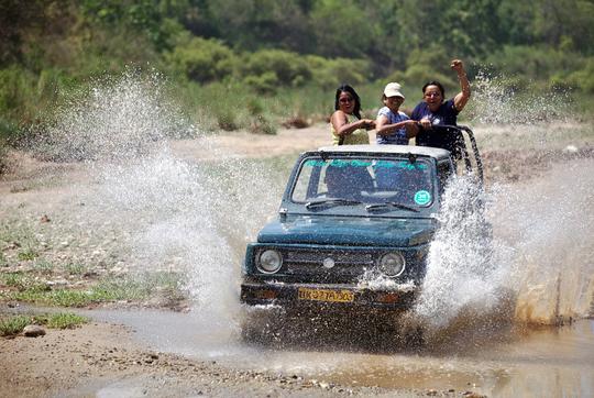 Rajaji National Park Safari Image