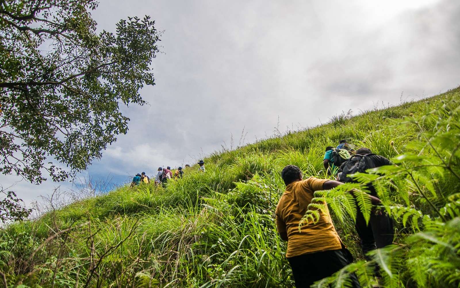 Netravati Trek Image