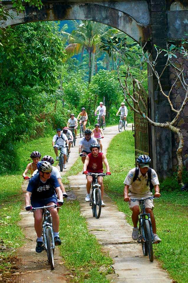 Cycling Through The Rice Paddy At Jatiluwih In Bal Image