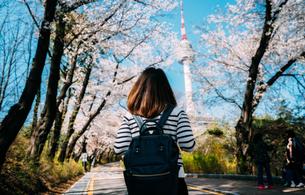 Marvel at the stunning beauty of the N Seoul Tower
