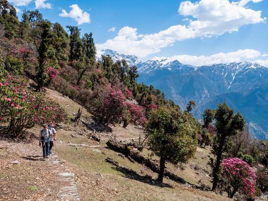 Trek to Binog Hill in Mussoorie Image
