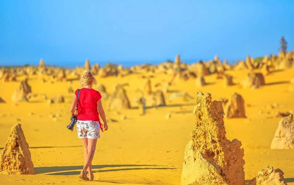 Pinnacle Desert Sunset & Stargazing Tour from Perth Image