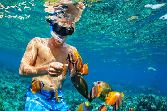 Snorkeling at Nusa Dua Image