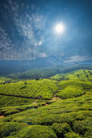 D1ap0qleozr36bel4f5eagt9p9rw shutterstock 2416957809 min