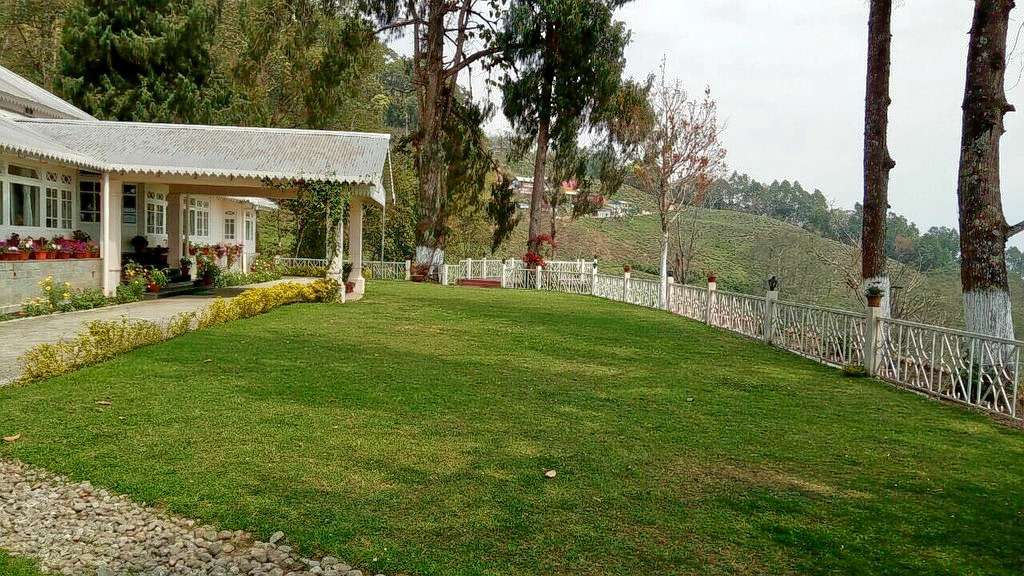 Ging Tea House Image