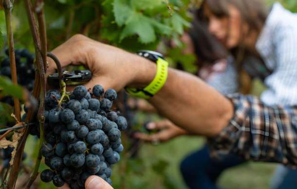 D4iagd1uw5rqgfchb4kd4fcto2je gfhfg