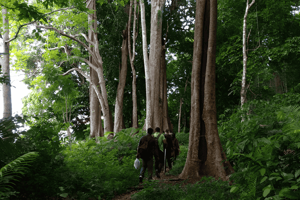 D4ndjmf9w8umd1x9f7a161gzwxlm trekking to elephanta beach havelock island enhanced