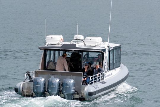 Whale Shark Sightseeing Trip in Maldives Image