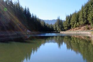 D95p4emmwxfg0pjb7l83uvsdubau reflection in tani jubbar lake at narkanda