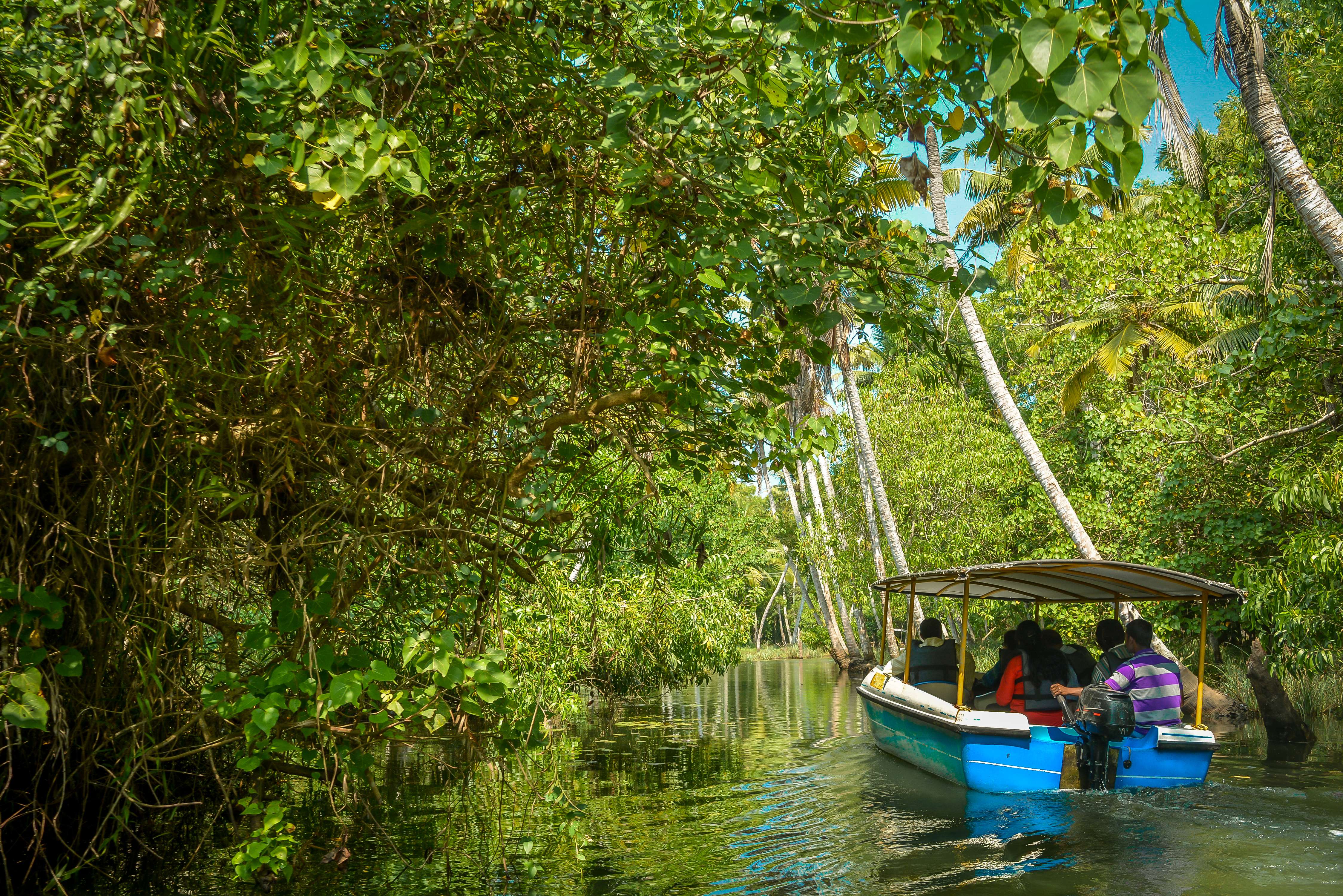 Navigate narrow waterways surrounded by nature’s splendour