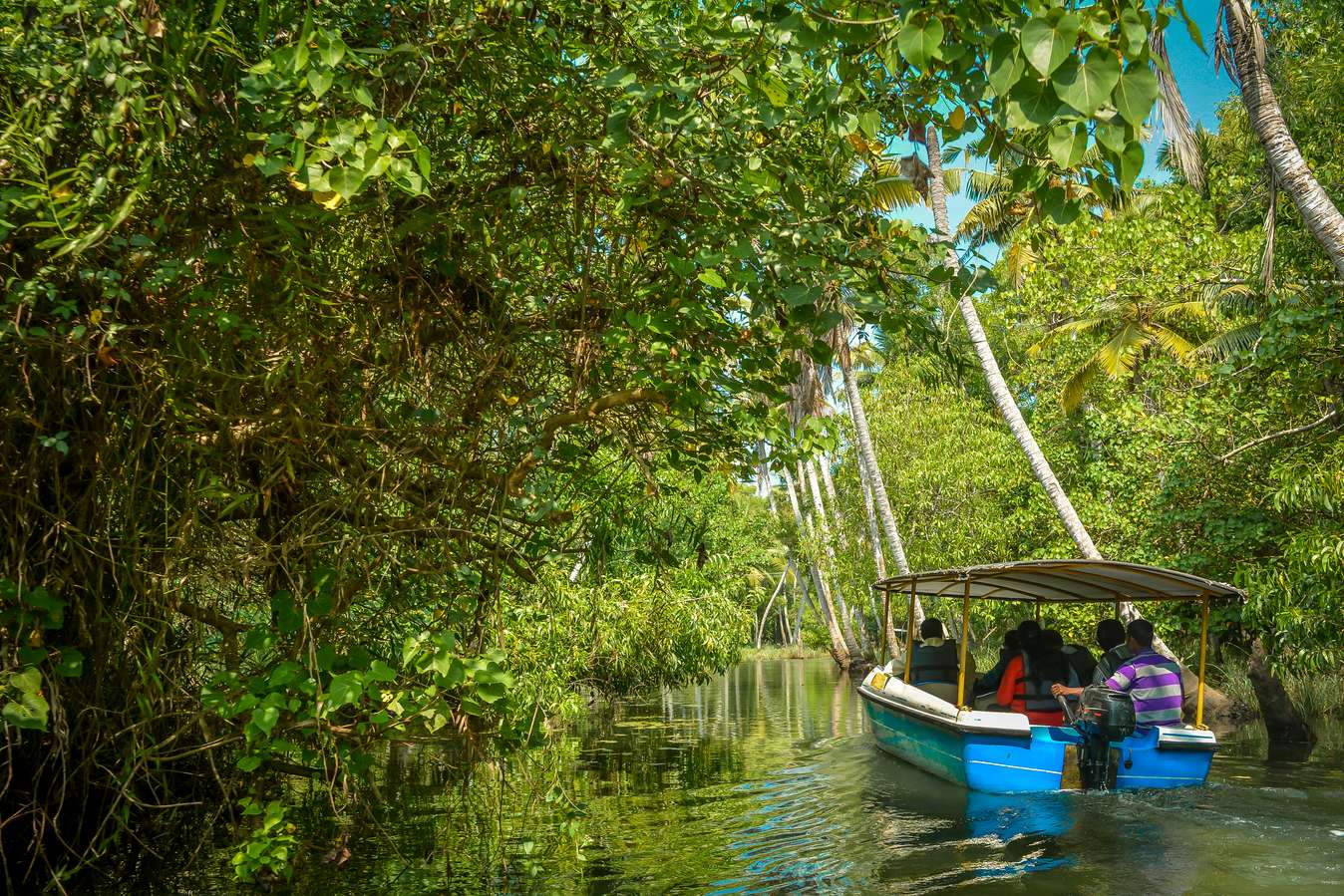 Navigate narrow waterways surrounded by nature’s splendour