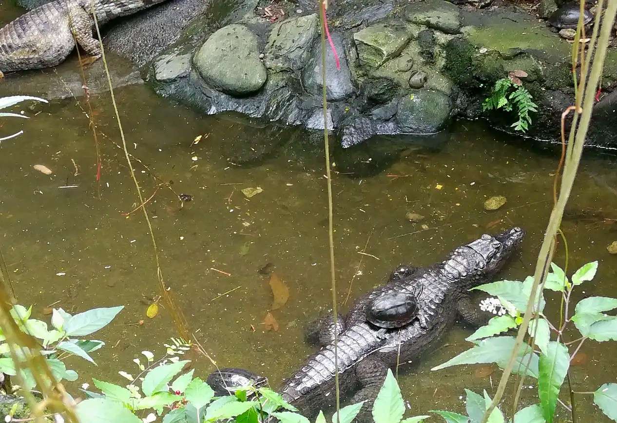 Zoori Admission Tickets Image