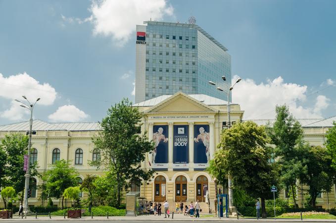 Grigore Antipa Museum Of Natural History