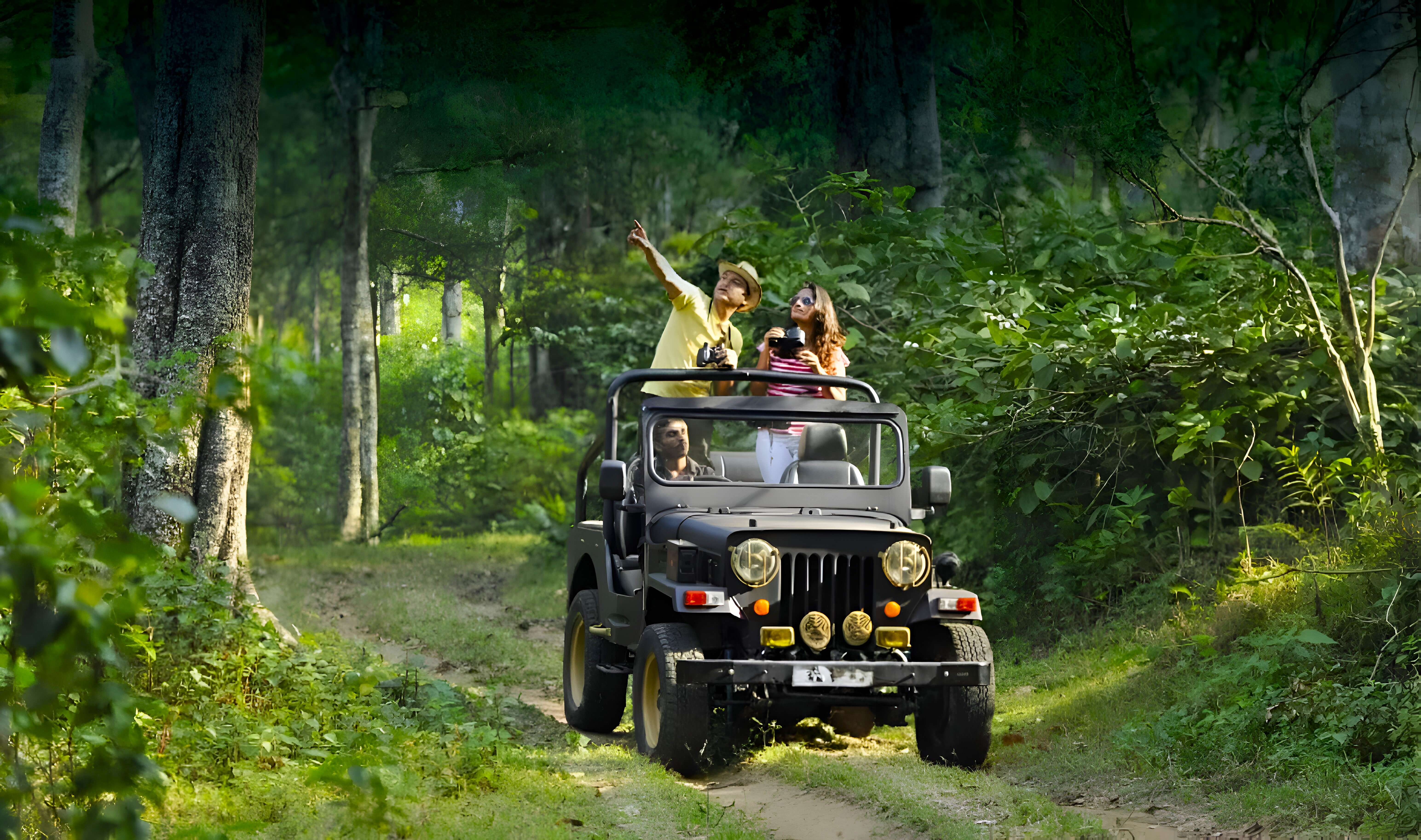Mandalpatti Jeep Safari, Coorg