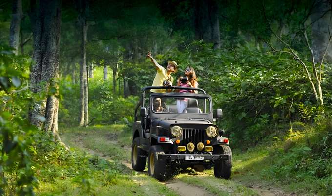 Mandalpatti Jeep Safari, Coorg