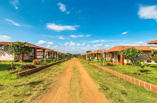 The Peepal Tree Kabini Image