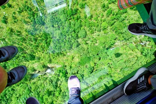 Ngong Ping 360 Cable Car Tickets Image