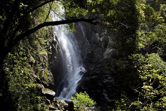 Plover Cove Hiking And Cycling Tour Image