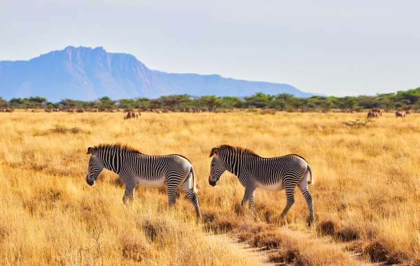 Dgac95pat4yvg5dv1mvi6eemmlzc dl.beatsnoop.com 3000 evkxtis8fo