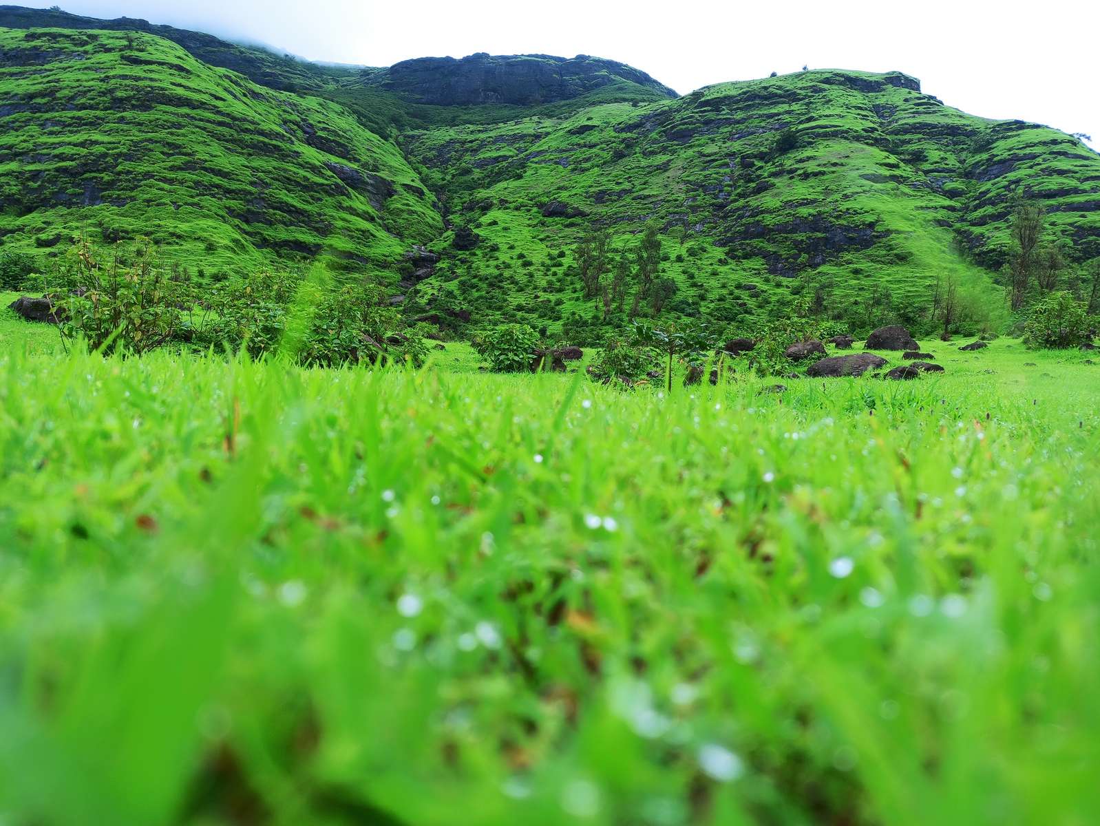 2 Days Igatpuri Tour Package From Mumbai Image