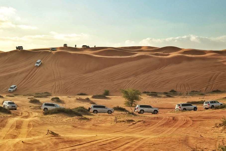 Go for evening desert safari at Bedouin Oasis desert camp