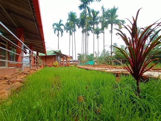 An Eco Stay Amidst Evergreen Forests Of Kodachadri Hills Image