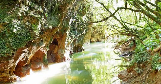 Glowworm Waitomo Caves Tour in Auckland Image