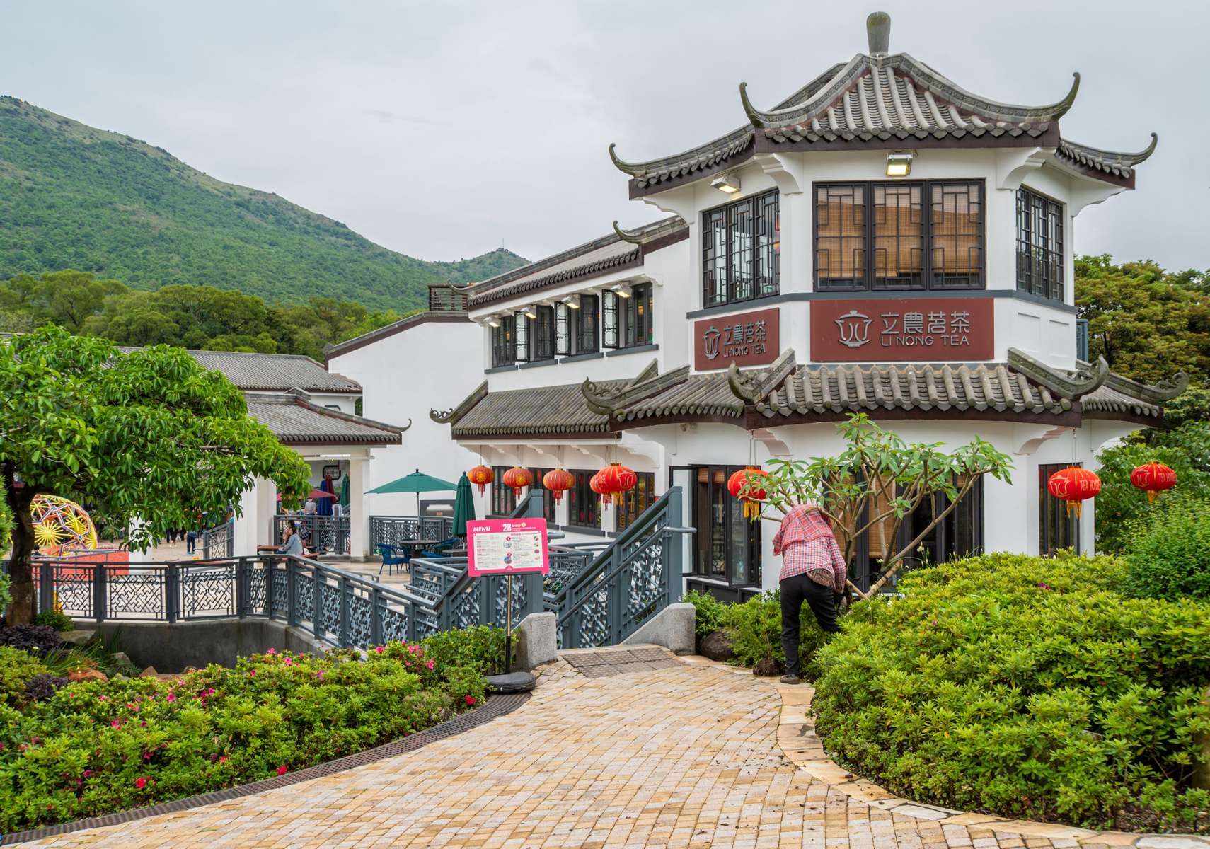 Lantau Island Sightseeing Tour Image